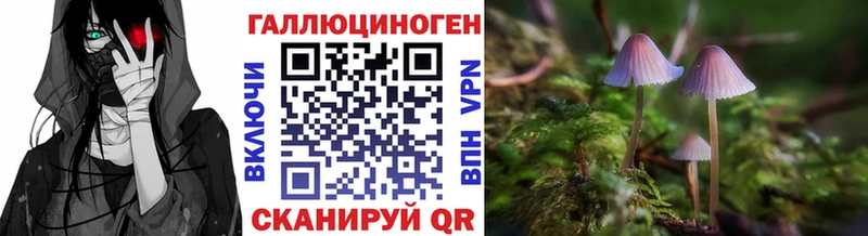 Псилоцибиновые грибы GOLDEN TEACHER  Купить  Ковдор 